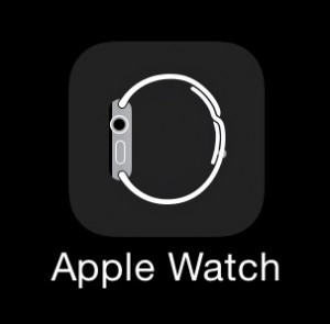 So sieht das Logo der Companion-App der Apple Watch auf dem iPhone aus