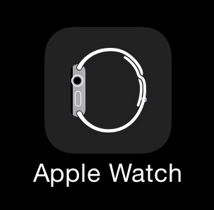 Apple Watch Companion iPhone app