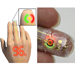 Das Wearable der Zukunft: e-Skin