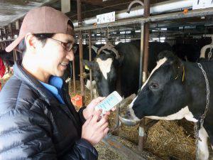 Fitness Tracker für Tiere in Japan auf dem Vormarsch