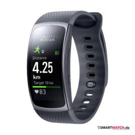 Samsung Gear Fit 2 - Grau