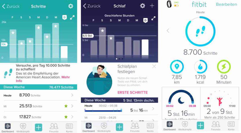 Fitbit Flex Fitbit App Aufzeichnungen