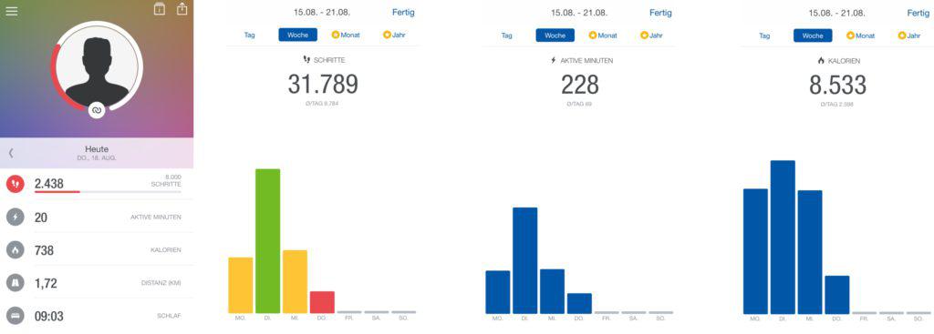 Runtastic Orbit Fitnessdaten