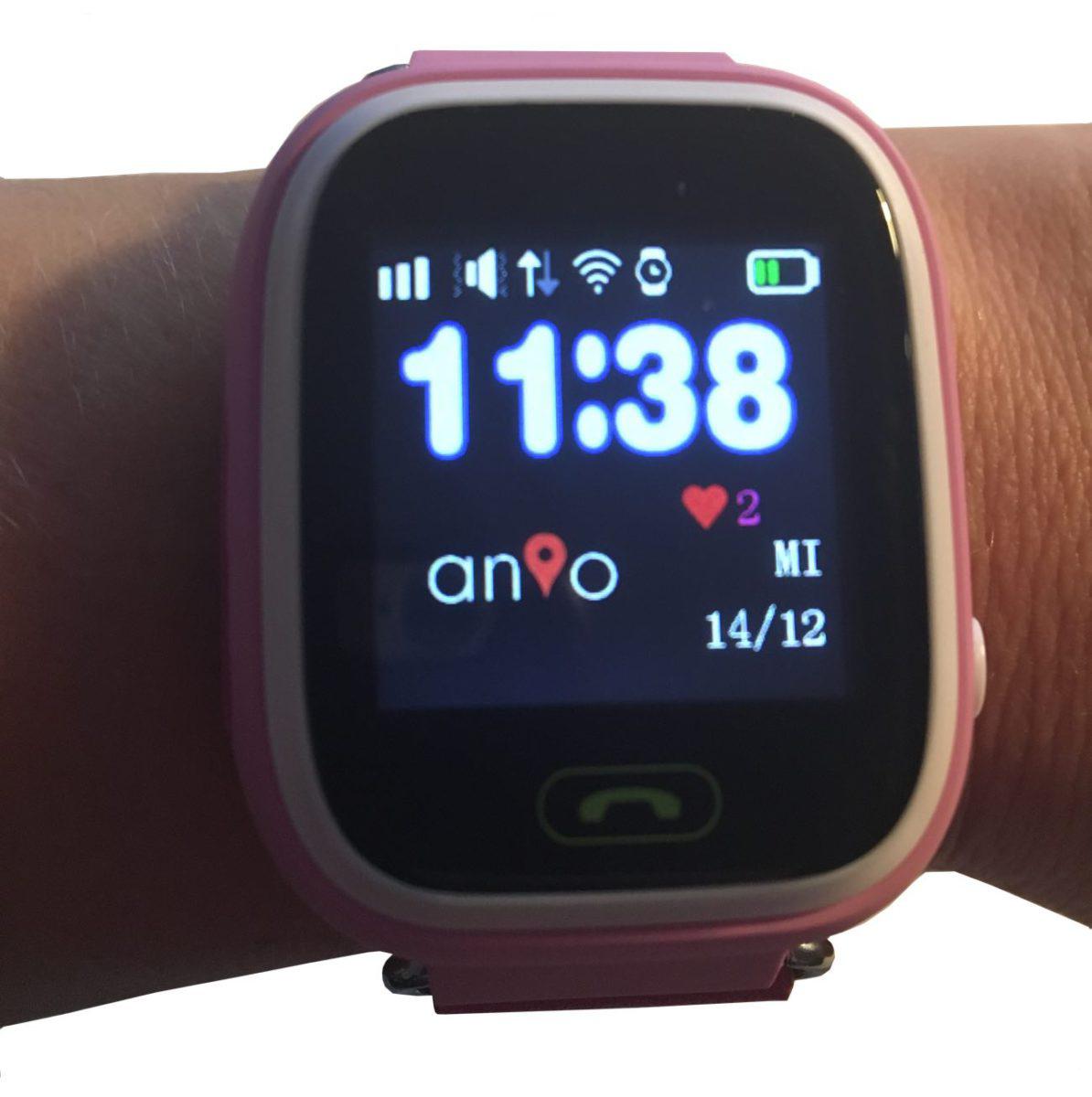 Anio Two am Arm Display