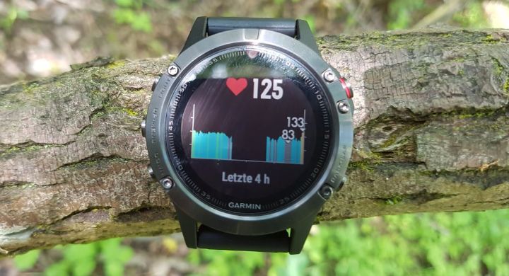 Display Garmin fenix 5 Fitness Uhr