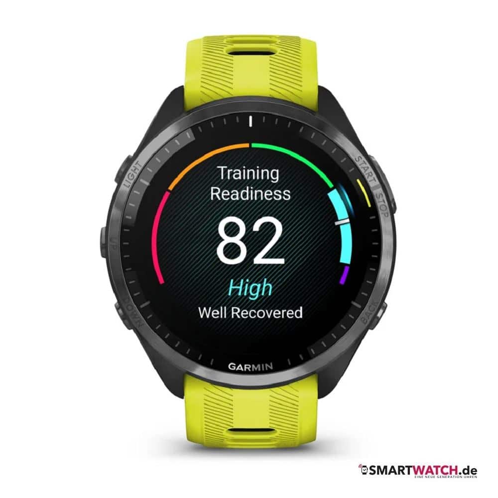 Garmin Forerunner 965 kaufen